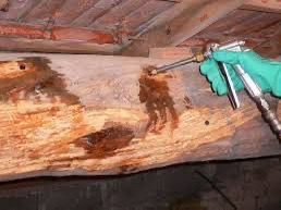 Démoussage & Traitement - Ramonville - Couvreur Toulouse